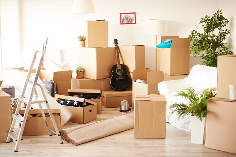 Why Choose a Condo Movers